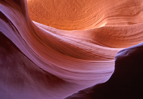 antelope-2