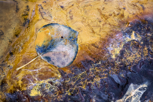 p1090320