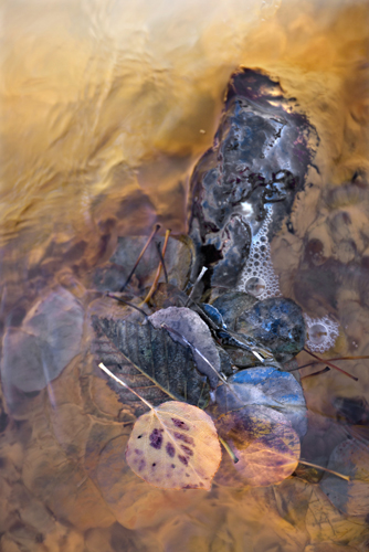 p1090369