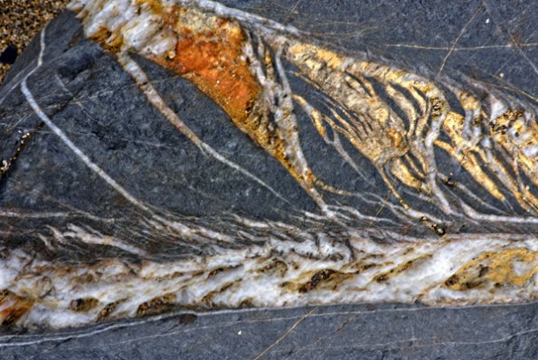 p1120948