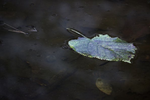 p1160993