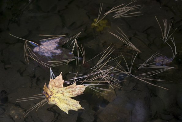 p1170006