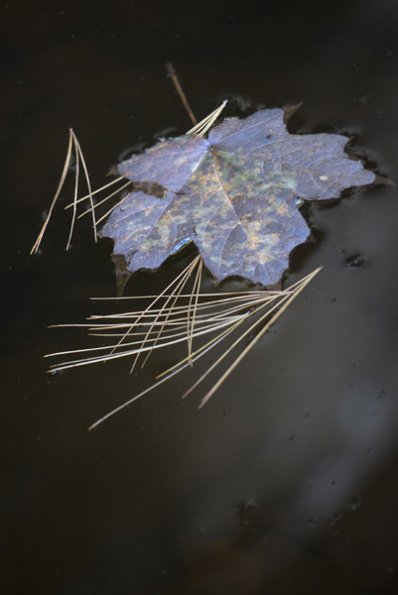 p1170024