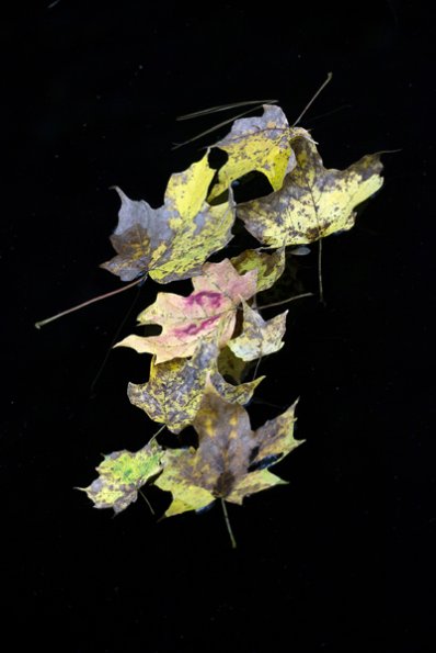 p1170122