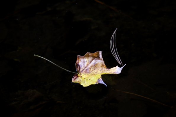 p1170335