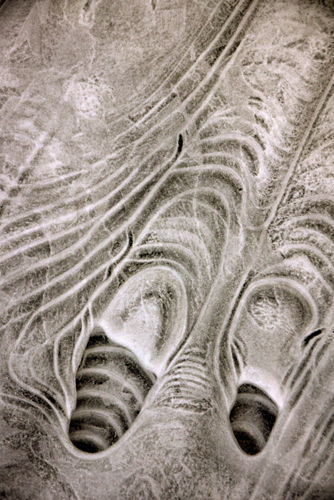 p1100542