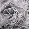 Ice patterns