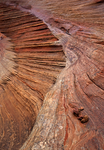 south-coyote-buttes-1660