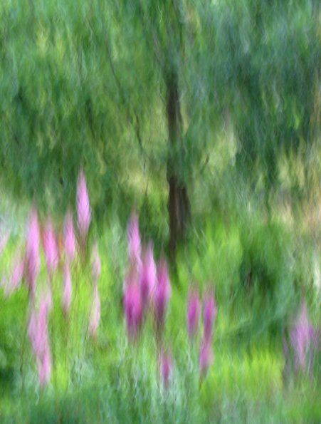 img_2615