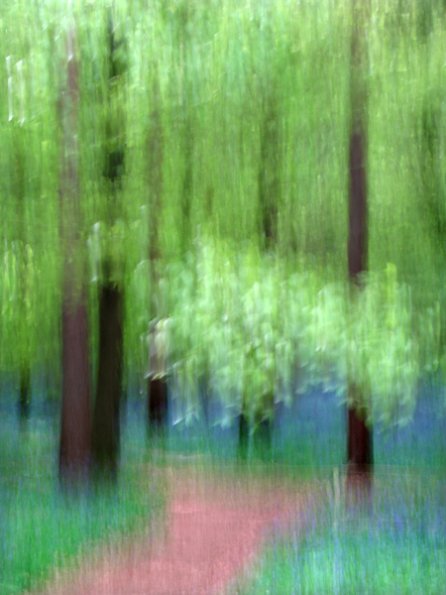 img_3562