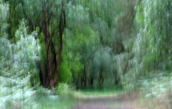 img_6078.1