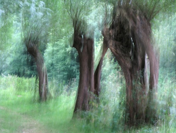 img_3813
