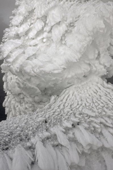 p1030781