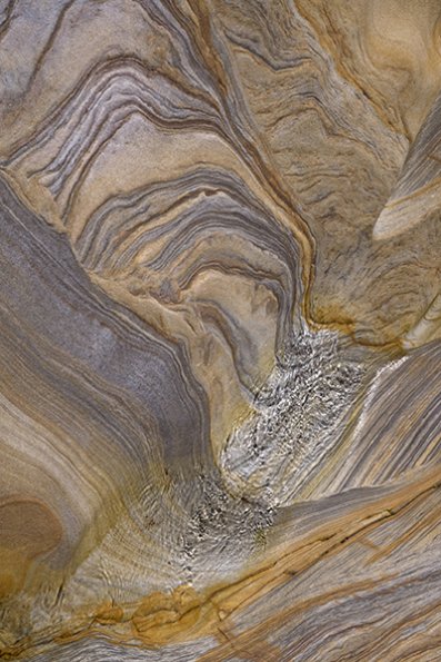 p1000859