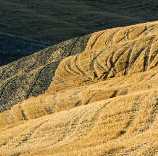 p1070941