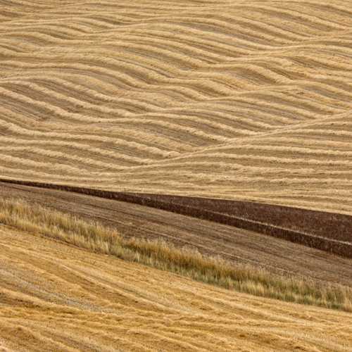 p1080073