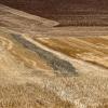 Tuscan field patterns