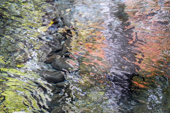 p1050064