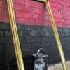 Street art at Leake Street