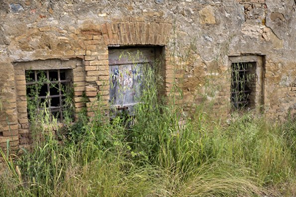 p1000453