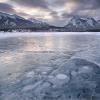 Abraham Lake, Alberta