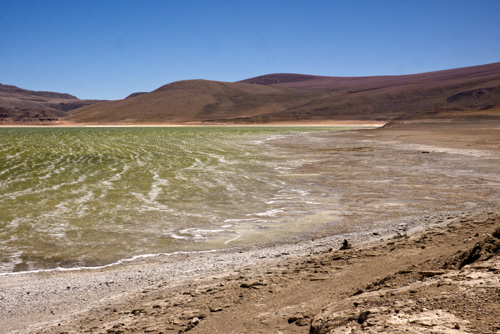 p1120295