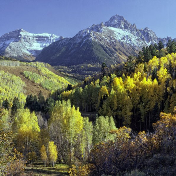 col29