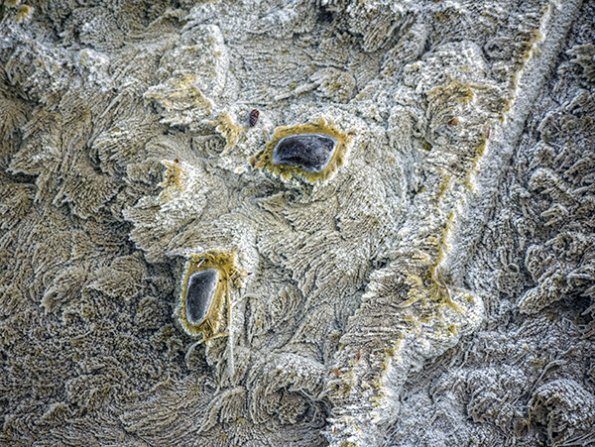 p1040795