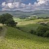 Tuscany 2