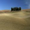 img_5795