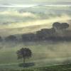tuscan-mist-2