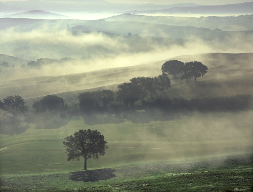 tuscan-mist-2