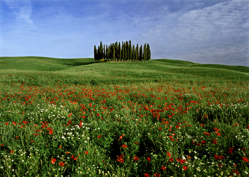 tuscany-12