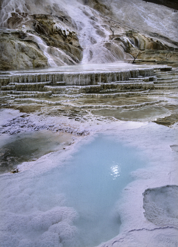 yellowstone24